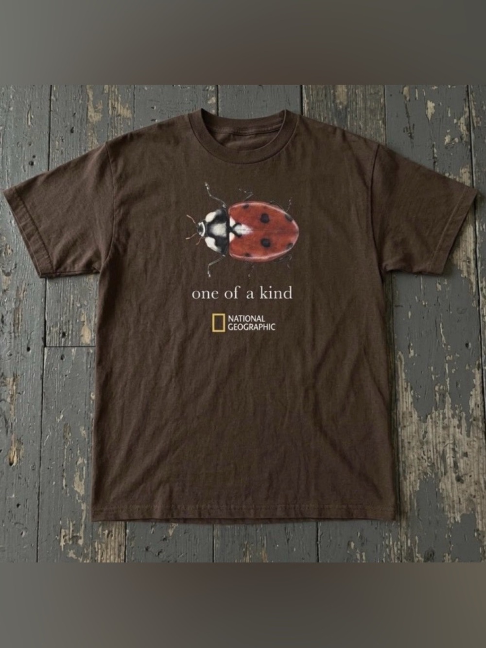 National Geographic Ladybug Nature Brown Graphic T-Shirt, Animal Tee